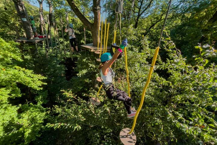 Alsace : De la roche en royauté