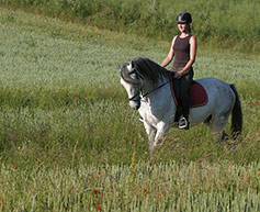 colo equitation