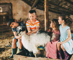 colo nature et animaux