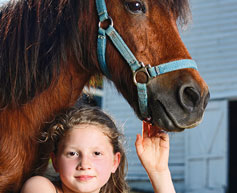 colo equitation