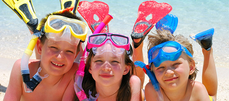 nles colos de l'été sont disponibles