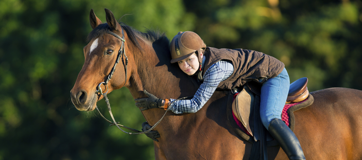 equitation, apprentissage et balade
