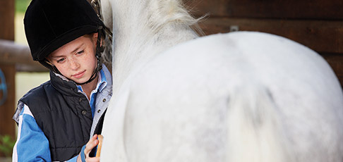 colonie équestre : l'équitation une passion